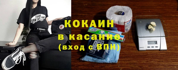 молекула духа Осташков