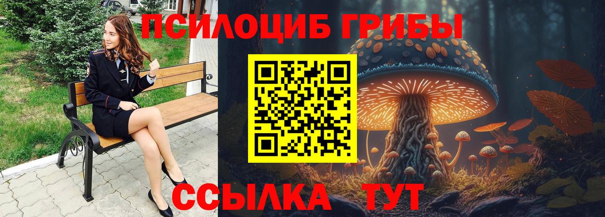 Новокубанск  Галлюциногенные грибы Cubensis  Вход с VPN  Псилоцибиновые грибы GOLDEN TEACHER 